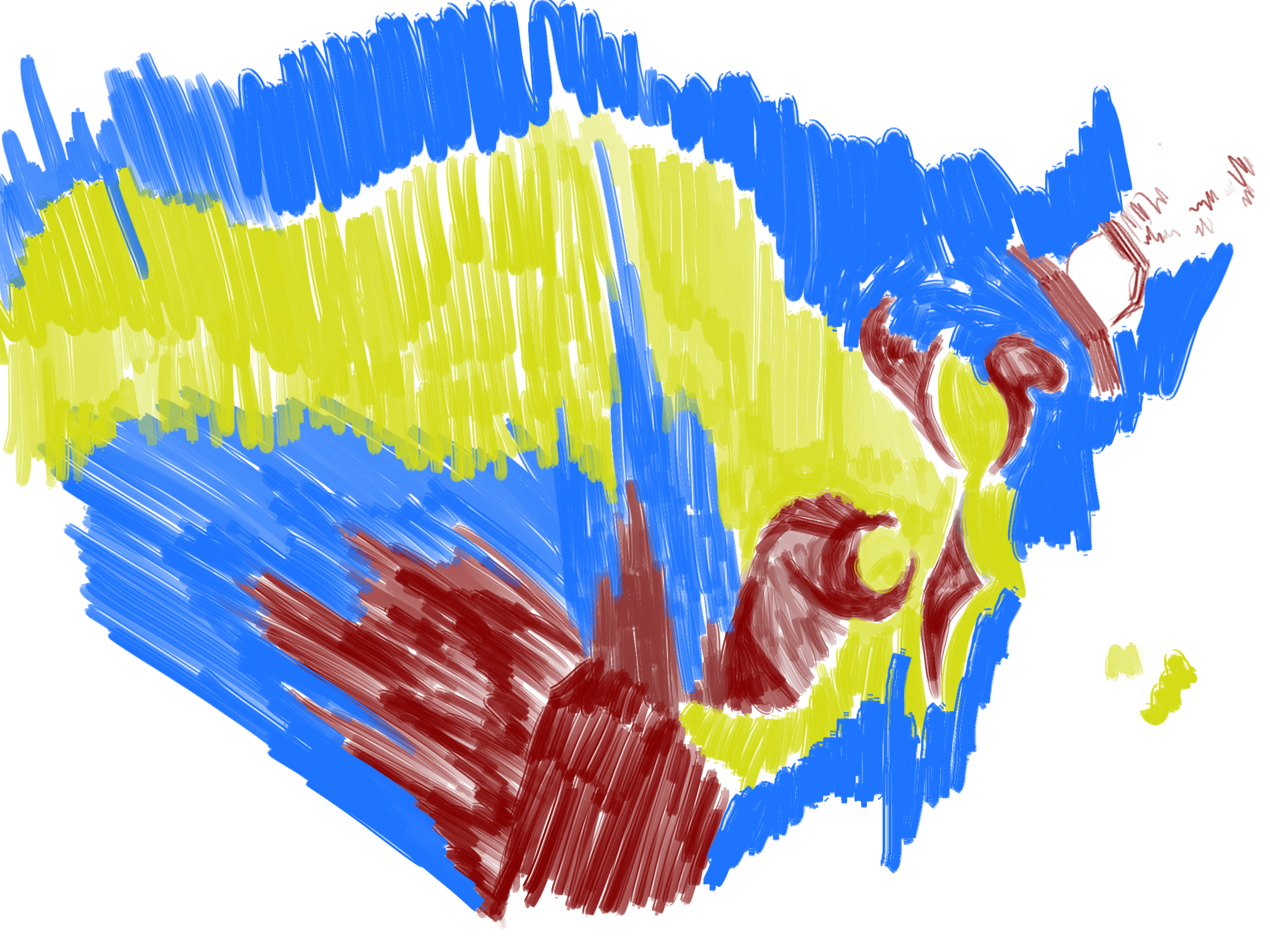 primary-color.png