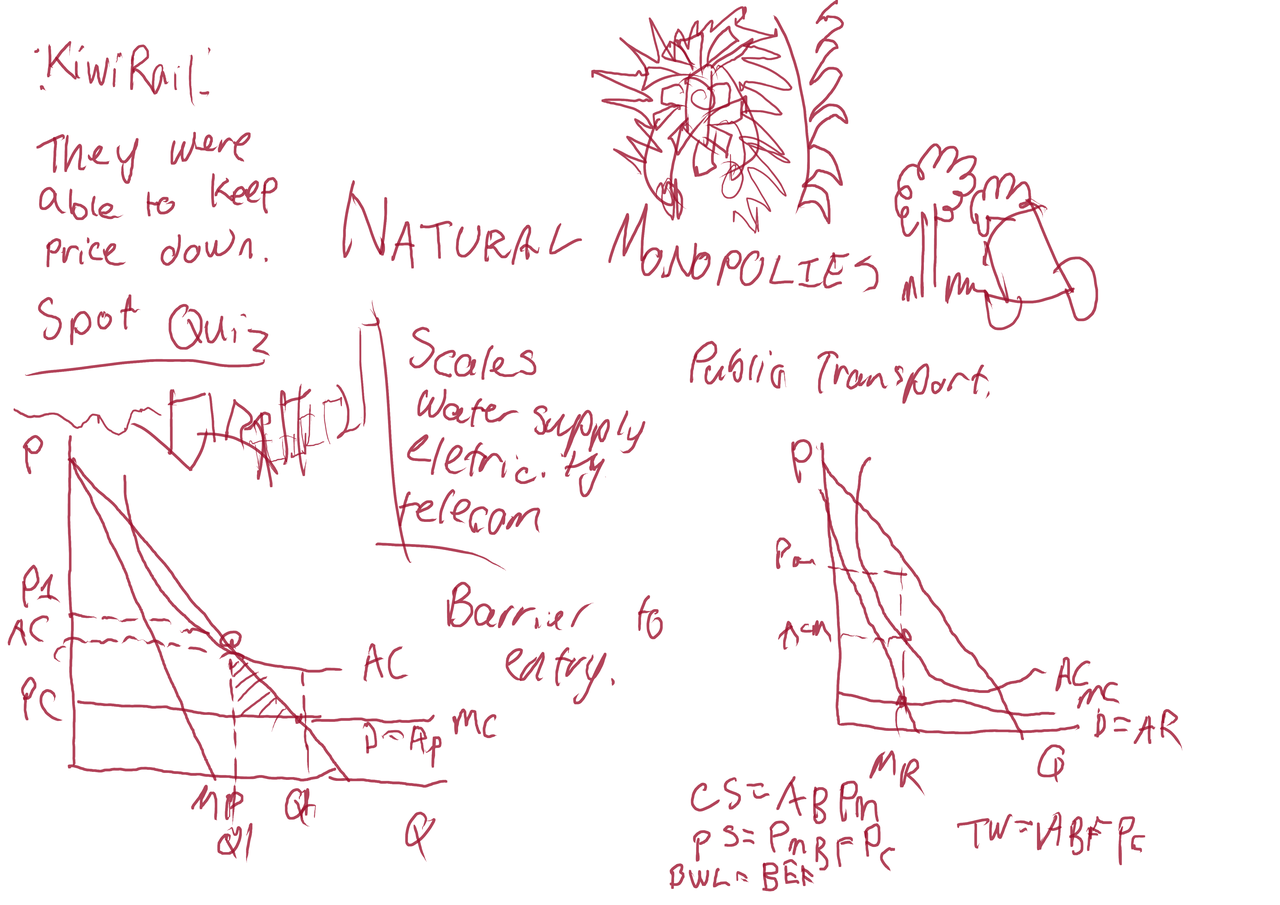 econ100-week8-mono2