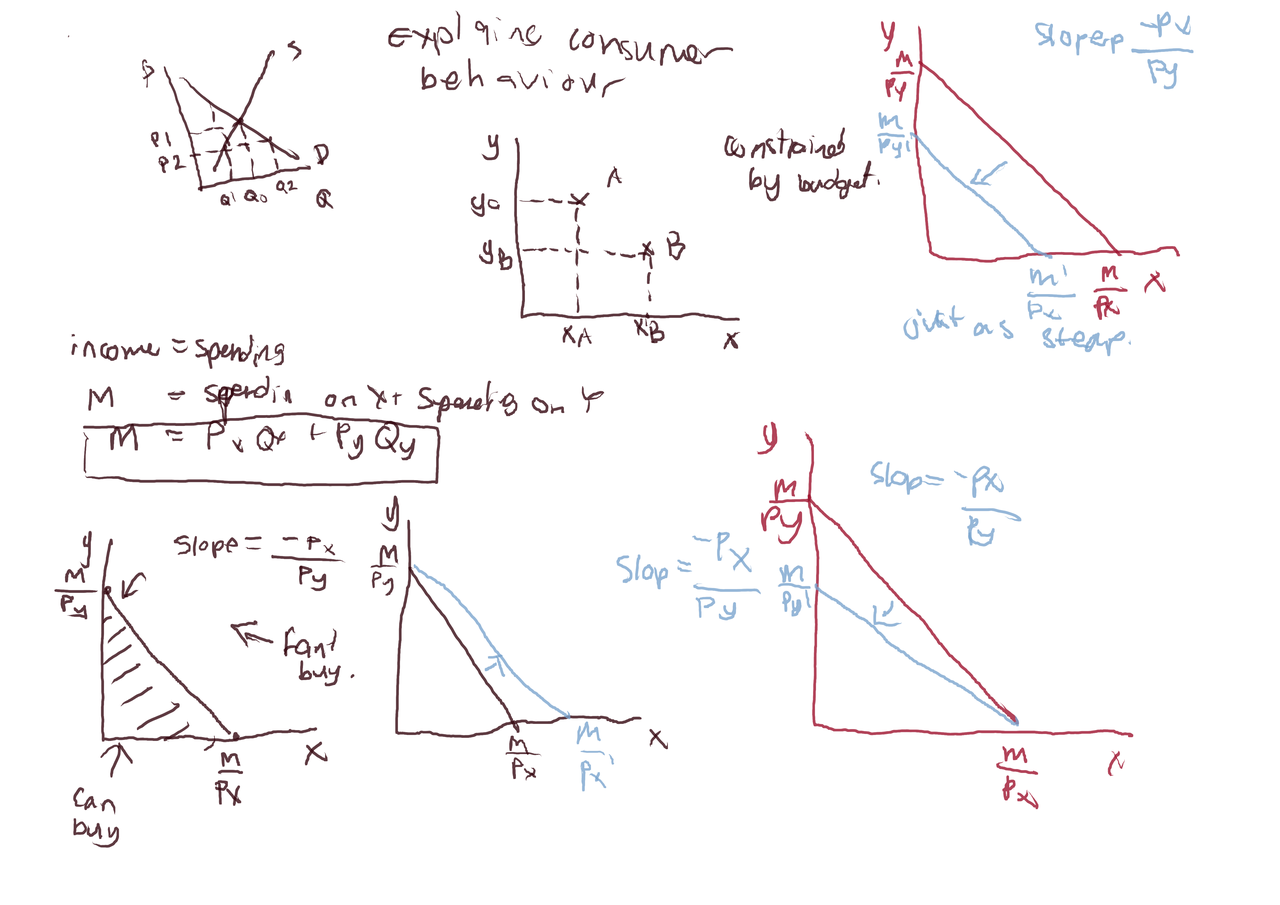 econ100-end-consbehav