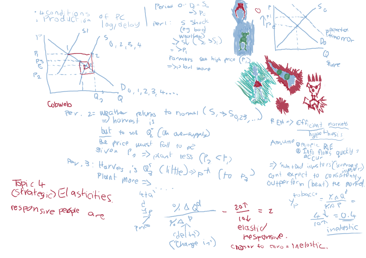 econ100-end-elastics